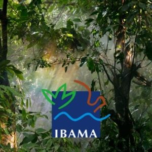 CONCURSO IBAMA